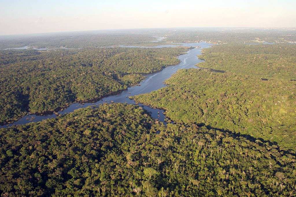 Amazônia